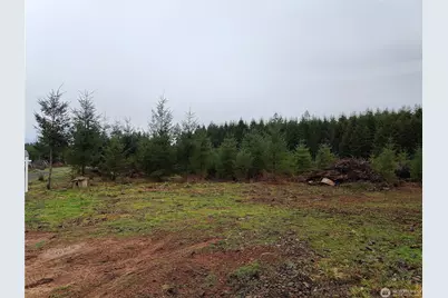 196 Allman Road, Winlock, WA 98596 - Photo 11