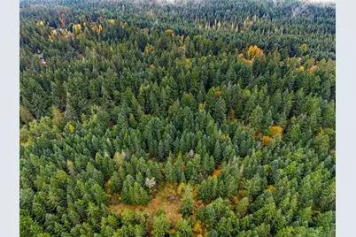 13041 Black Bear Lane SE, Tenino, WA 98589 - Photo 11