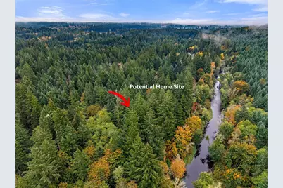 13041 Black Bear Lane SE, Tenino, WA 98589 - Photo 5