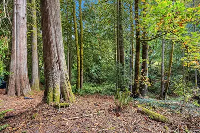25003 SE 133rd Way, Issaquah, WA 98027 - Photo 21