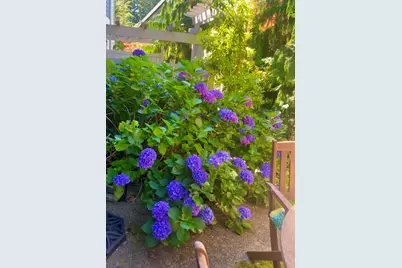 4156 248th Court SE #67, Sammamish, WA 98029 - Photo 21
