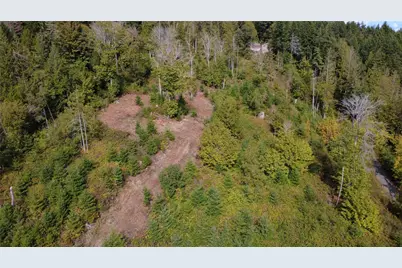 0 Juanita Drive, Brinnon, WA 98320 - Photo 9