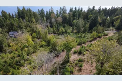 0 Juanita Drive, Brinnon, WA 98320 - Photo 11