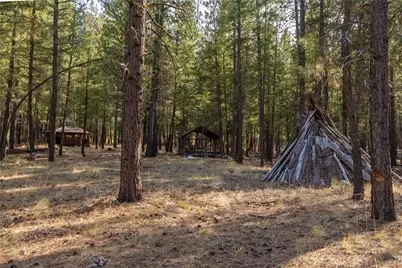 51 D E Buttermilk Creek Road, Twisp, WA 98856 - Photo 29