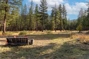 51 D E Buttermilk Creek Rd, Twisp, WA 98856 - Photo 33