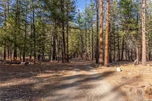 51 D E Buttermilk Creek Rd, Twisp, WA 98856 - Photo 31