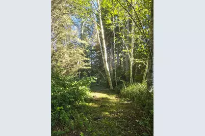 2810 230th Lane, Ocean Park, WA 98640 - Photo 3