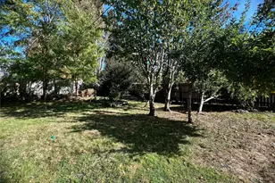 9413 356th Street Ct S, McKenna, WA 98558 - Photo 29