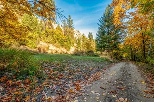 6478 Tripp Canyon, Cashmere, WA 98815 - Photo 29