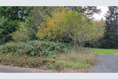 12 South Bend Palix Road, South Bend, WA 98586 - Photo 3