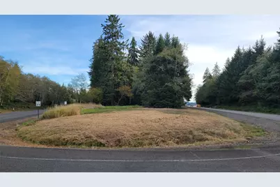 12 South Bend Palix Road, South Bend, WA 98586 - Photo 13