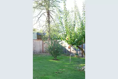 1637 111th Street S, Parkland, WA 98444 - Photo 9