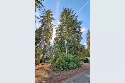 917 Grant Avenue, Shelton, WA 98584 - Photo 7