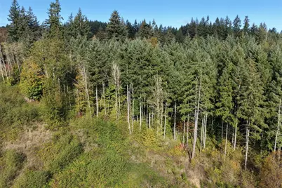 0 NE Jenny Creek Road, La Center, WA 98629 - Photo 3