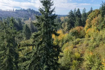 0 NE Jenny Creek Road, La Center, WA 98629 - Photo 19