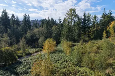 0 NE Jenny Creek Road, La Center, WA 98629 - Photo 13