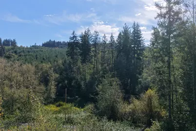 0 NE Jenny Creek Road, La Center, WA 98629 - Photo 15