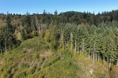 0 NE Jenny Creek Road, La Center, WA 98629 - Photo 5
