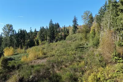 0 NE Jenny Creek Road, La Center, WA 98629 - Photo 25