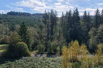 0 NE Jenny Creek Road, La Center, WA 98629 - Photo 11