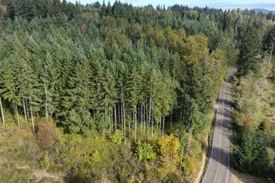 0 NE Jenny Creek Road, La Center, WA 98629 - Photo 7