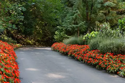 20530 SE 19th Street, Sammamish, WA 98075 - Photo 29