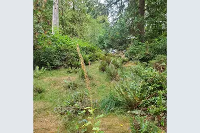 655 E Portage Road, Shelton, WA 98584 - Photo 1