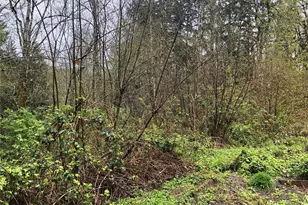 0 NE Taylor Way, Chehalis, WA 98532 - Photo 1