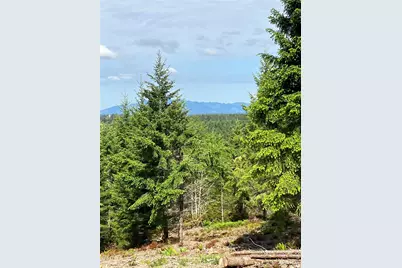 3 E Lone Fir Drive Road E, Shelton, WA 98584 - Photo 1