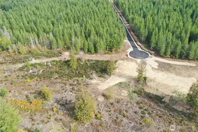 0 Lot 4  Div 2 Raven Lane, Elma, WA 98541 - Photo 1