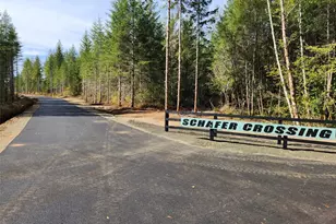 0 Lot 4 Div 1 Raven Ln, Elma, WA 98541 - Photo 1