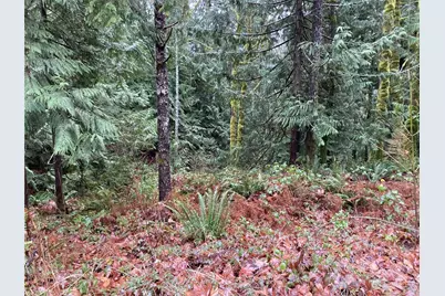 0 Arabian Drive, Brinnon, WA 98320 - Photo 1