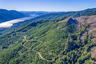 0 Usfs 81 Rd, Cougar, WA 98616 - Photo 1