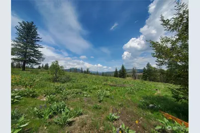 0 Tbd Landers Road, Malott, WA 98829 - Photo 1