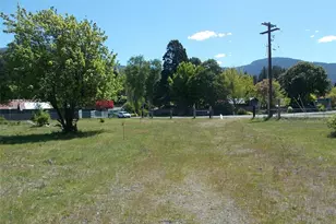 0 Lot 2 Tumac Street W, Packwood, WA 98361 - Photo 1