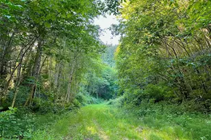 0 Sr-4, Cathlamet, WA 98612 - Photo 1