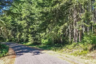 11004 Spruce Dr, Anderson Island, WA 98303 - Photo 1