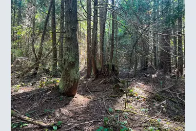 9999 Hendricks Street, Port Townsend, WA 98368 - Photo 1