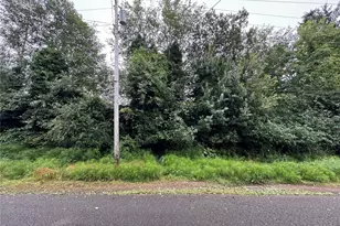 0 Xxxx Van Buren St, Aberdeen, WA 98520 - Photo 1