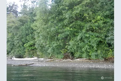 9999 Harrington Drive, Quilcene, WA 98376 - Photo 1