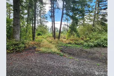 11736 Vail Cut Off Road SE, Rainier, WA 98576 - Photo 1