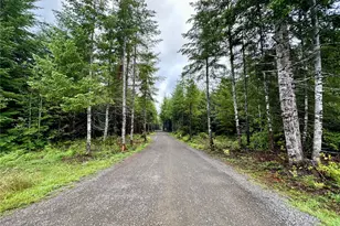 9999 Grouse Glen Way, Port Angeles, WA 98363 - Photo 1