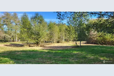 365 Boistfort Road, Chehalis, WA 98532 - Photo 1