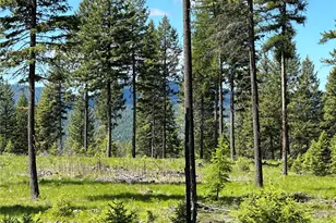 0 Sheridan Rd Lot 9, Republic, WA 99166 - Photo 1