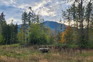 0 Rocky Brook Rd, Brinnon, WA 98320 - Photo 1