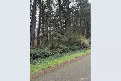 11416 & 11420 Hillcrest Avenue, Anderson Island, WA 98303 - Photo 1