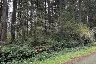 11416 & 11420 Hillcrest Ave, Anderson Island, WA 98303 - Photo 1