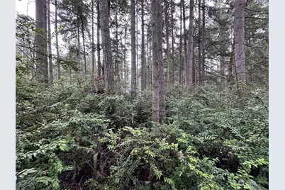 11023 Cascade Place, Anderson Island, WA 98303 - Photo 1