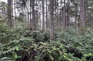 11023 Cascade Pl, Anderson Island, WA 98303 - Photo 1