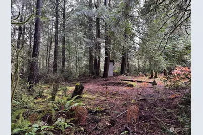 16616 74th Street NW, Vaughn, WA 98394 - Photo 1